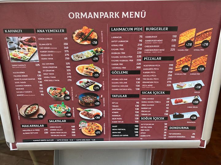 Fotoğraf 37