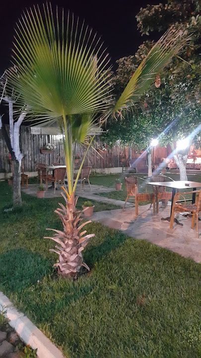 Fotoğraf 28