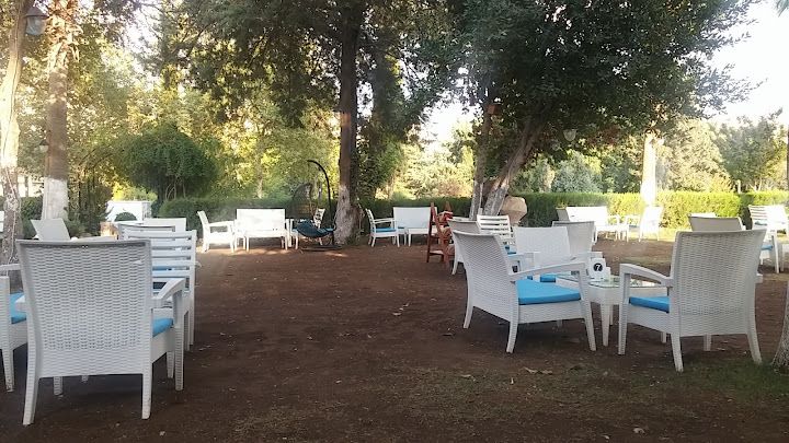 Fotoğraf 9