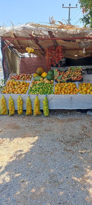 Fotoğraf 37