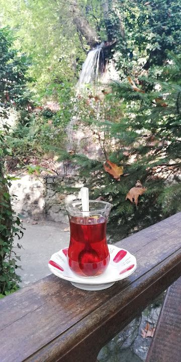Fotoğraf 34