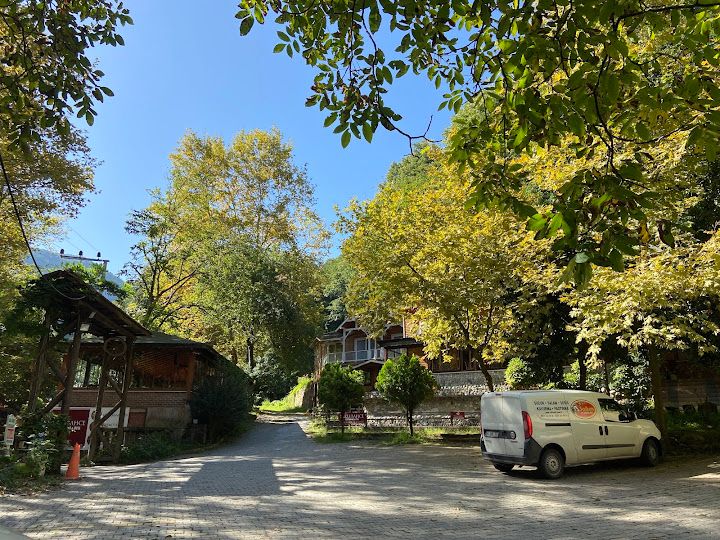 Fotoğraf 30