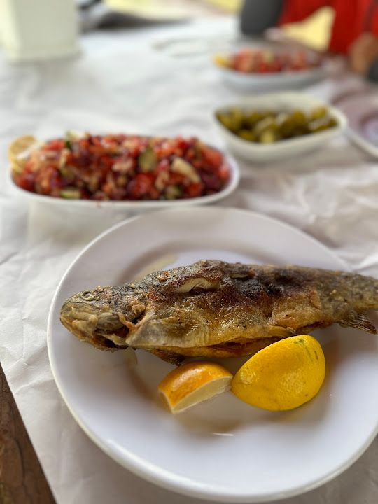 Fotoğraf 27