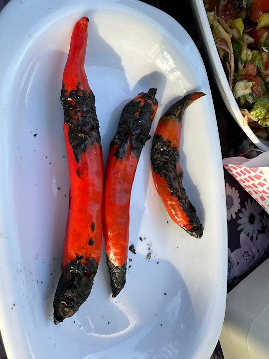 Fotoğraf 21