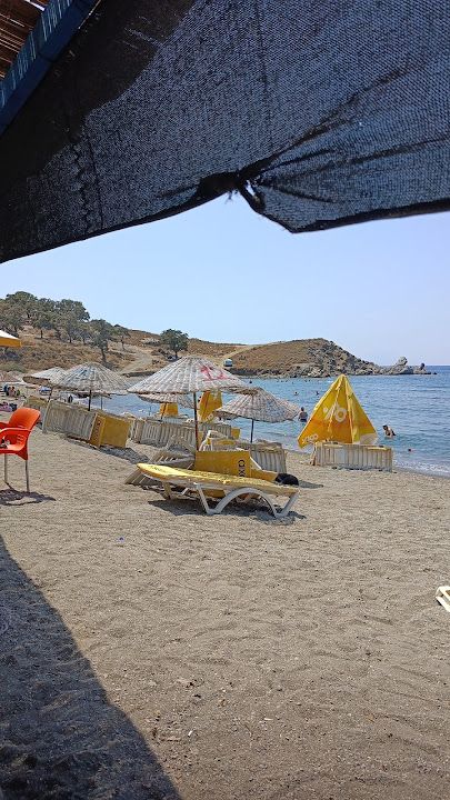 Yorum fotoğrafı 3