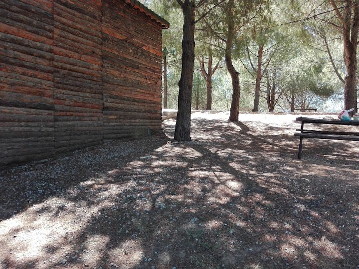 Yorum fotoğrafı 3