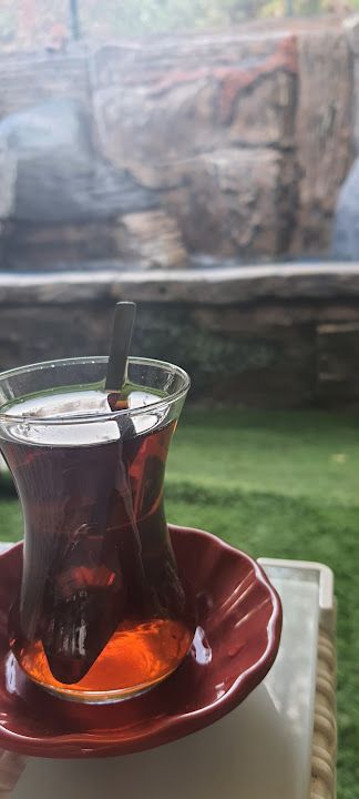 Fotoğraf 17