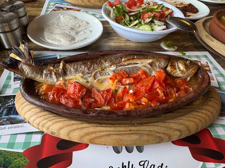Yorum fotoğrafı 4