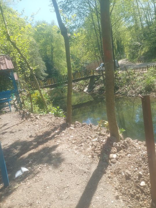Fotoğraf 19