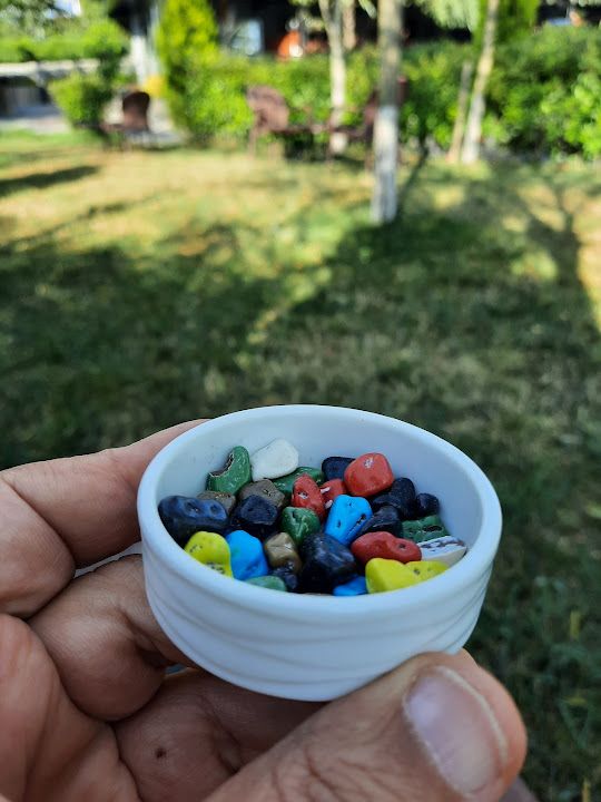 Fotoğraf 43
