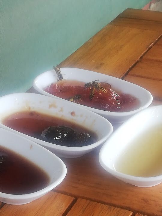 Fotoğraf 24