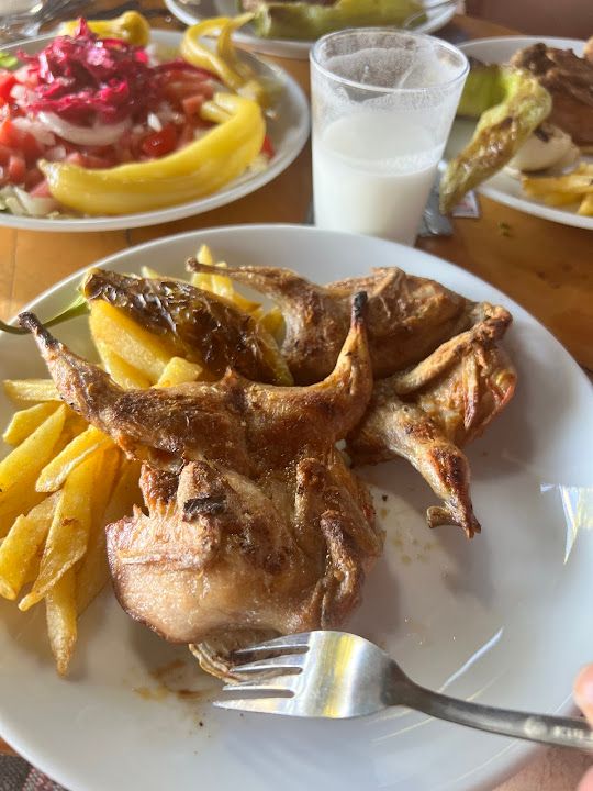 Fotoğraf 30