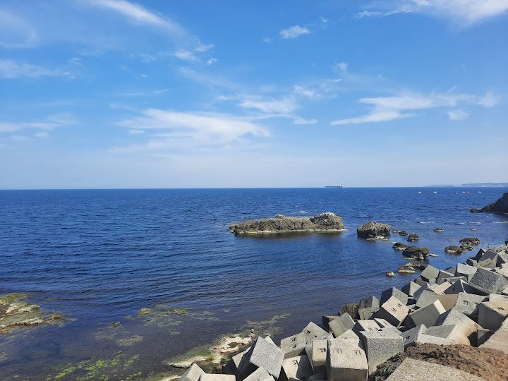 Fotoğraf 31