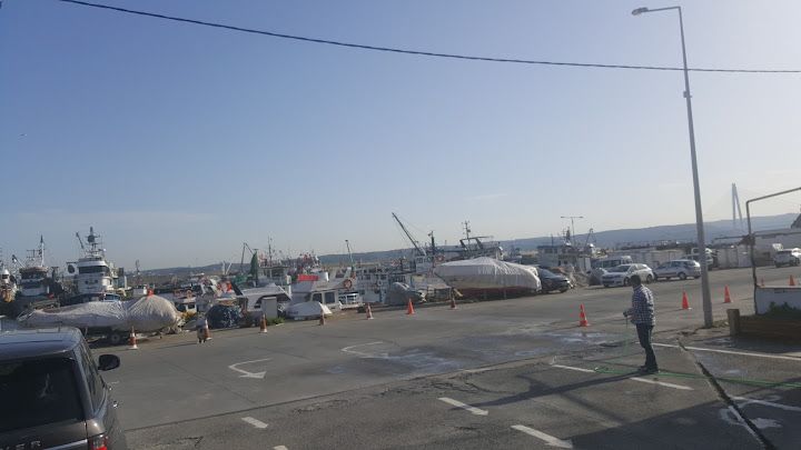 Fotoğraf 14