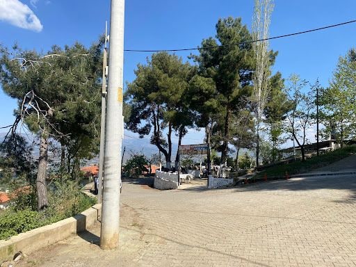 Fotoğraf 16