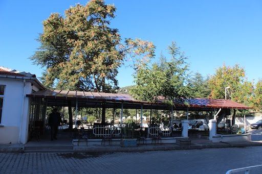 Yorum fotoğrafı 4