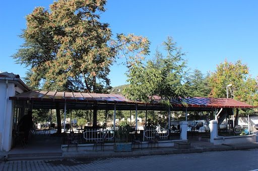 Yorum fotoğrafı 5