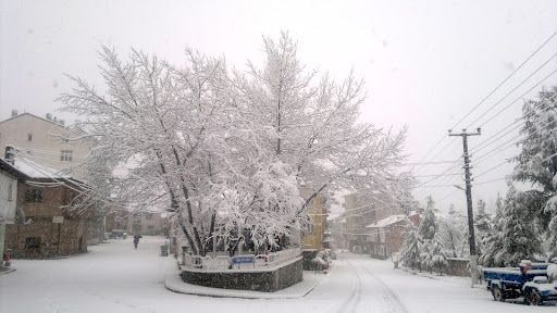 Yorum fotoğrafı 8