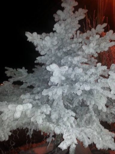 Yorum fotoğrafı 7