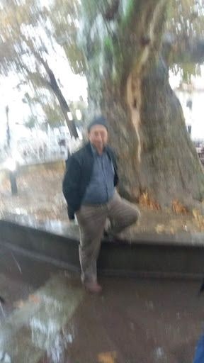 Yorum fotoğrafı 4