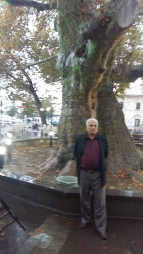 Yorum fotoğrafı 5