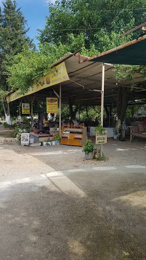 Yorum fotoğrafı 8