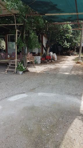 Yorum fotoğrafı 9