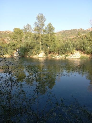 Yorum fotoğrafı 5
