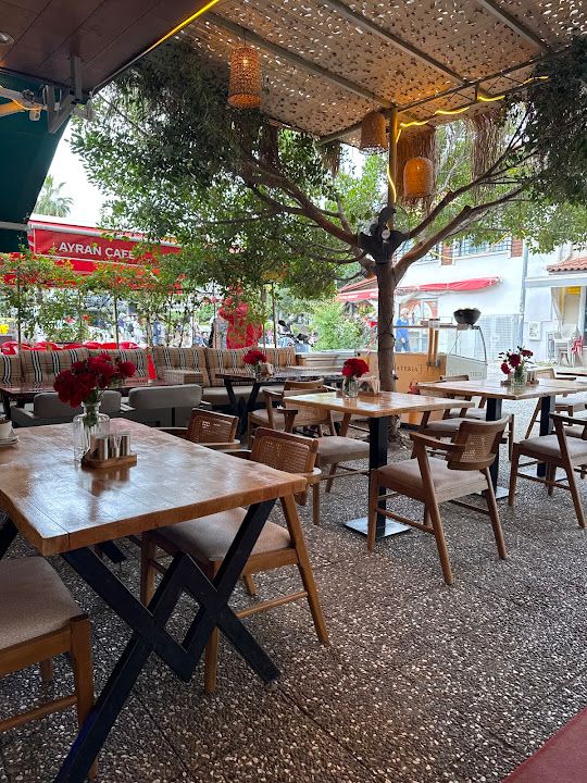 Fotoğraf 11