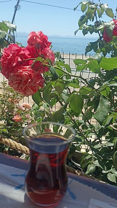 Fotoğraf 28