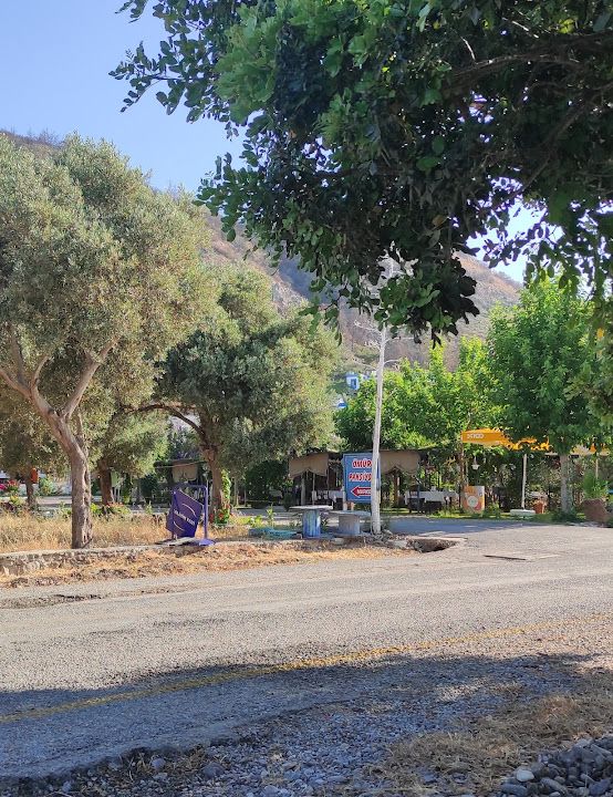 Yorum fotoğrafı 4