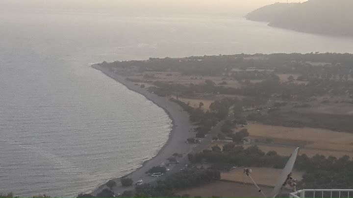 Fotoğraf 41