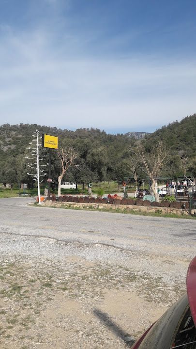 Fotoğraf 14