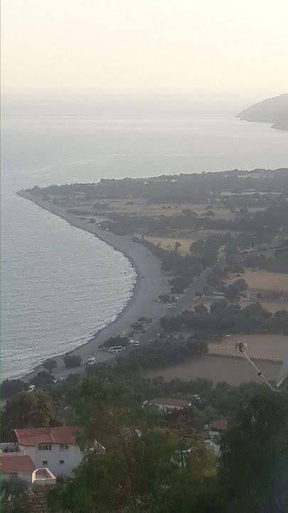 Fotoğraf 42