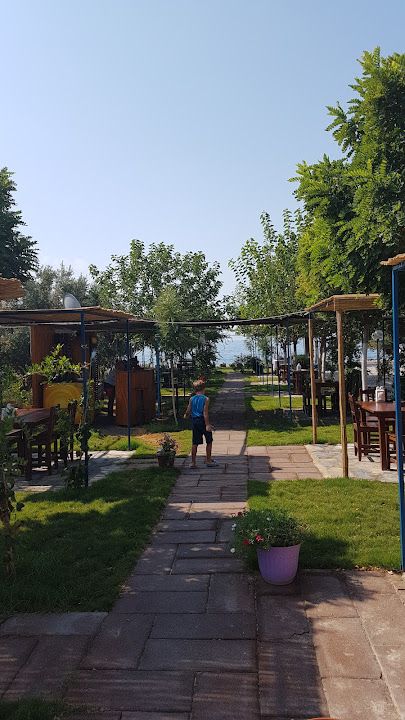 Fotoğraf 44