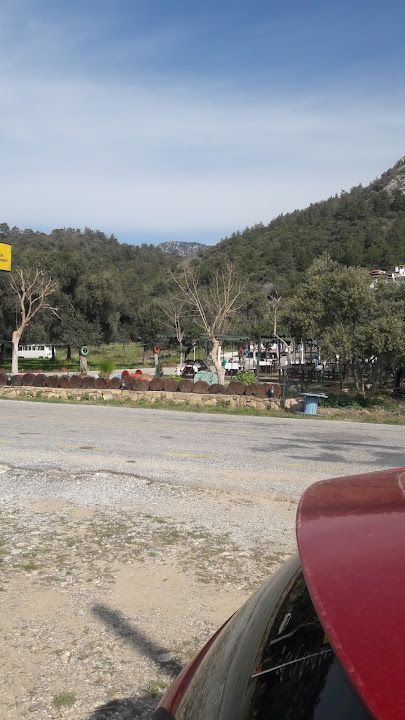 Fotoğraf 13