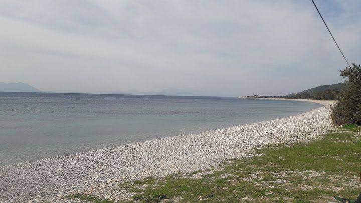 Fotoğraf 16