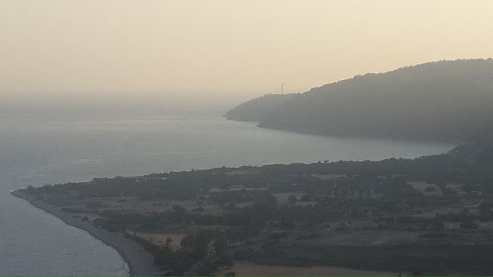 Fotoğraf 43