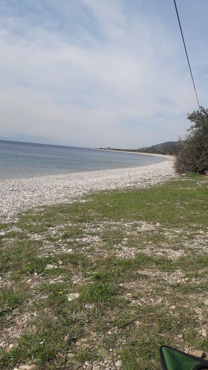 Fotoğraf 15