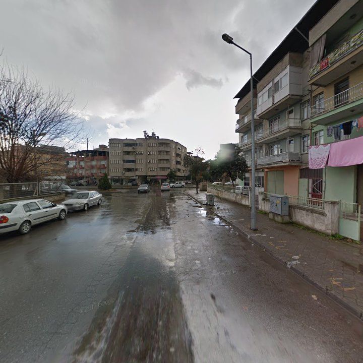 Fotoğraf 8