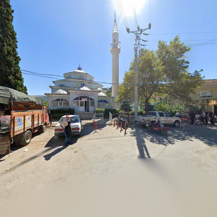 Fotoğraf 3