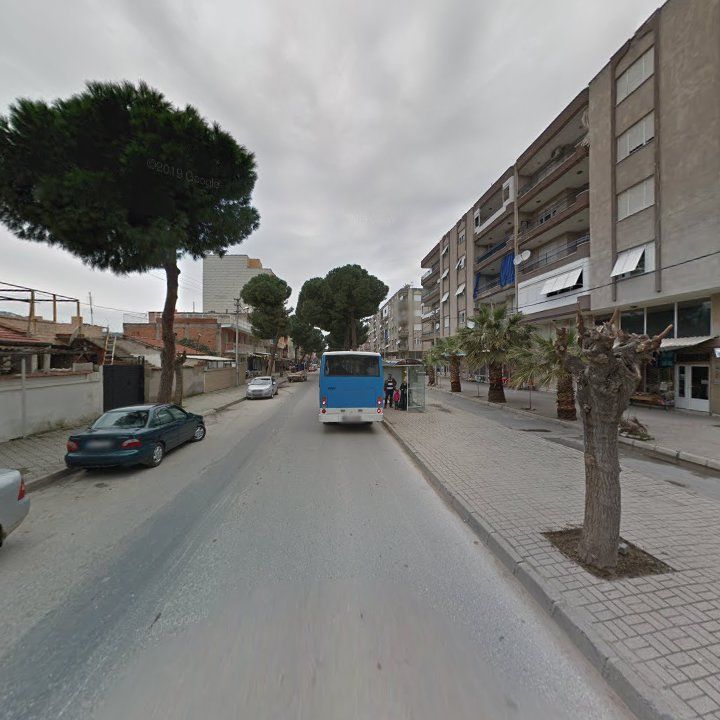 Fotoğraf 10