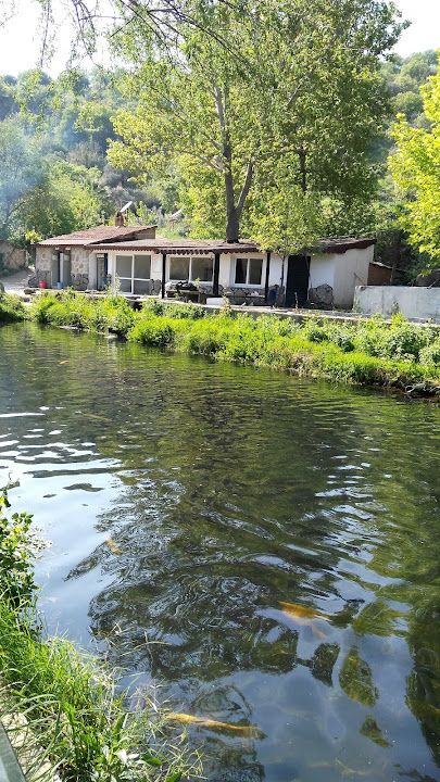 Yorum fotoğrafı 3