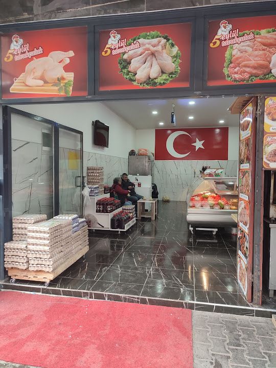 Fotoğraf 5