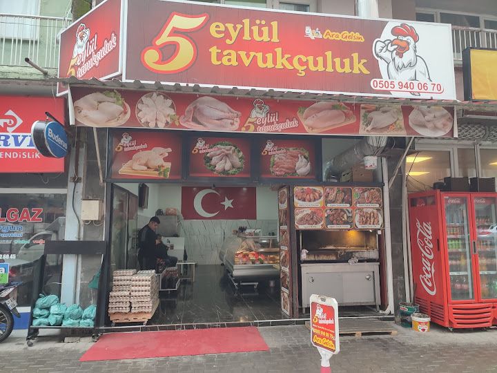 Beşeylül tavukçuluk