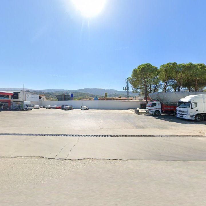 Canlı Balık Odun Köfte