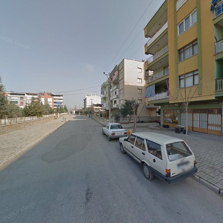 Fotoğraf 6