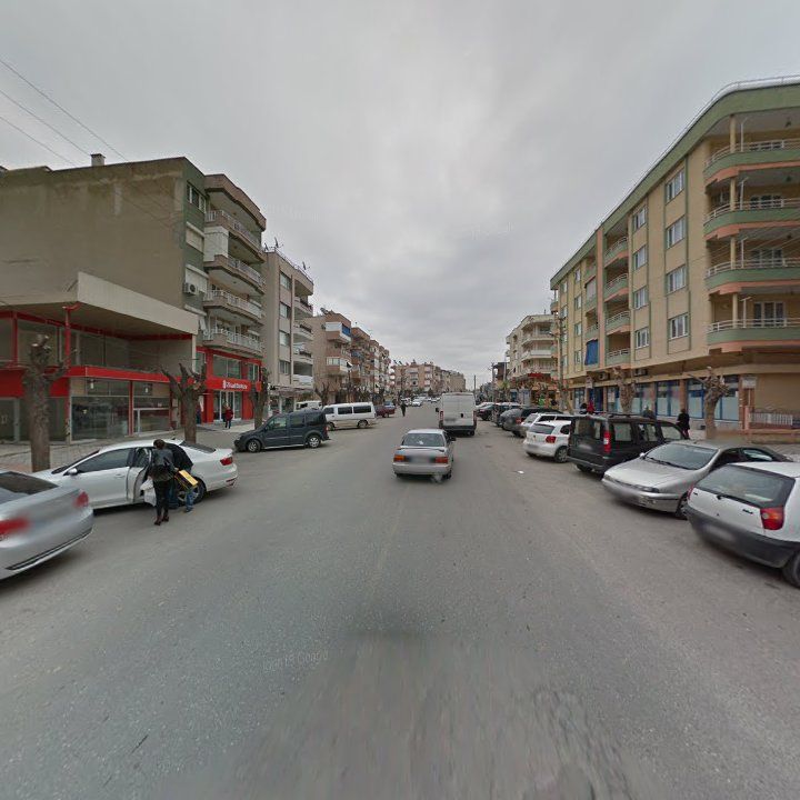Fotoğraf 8
