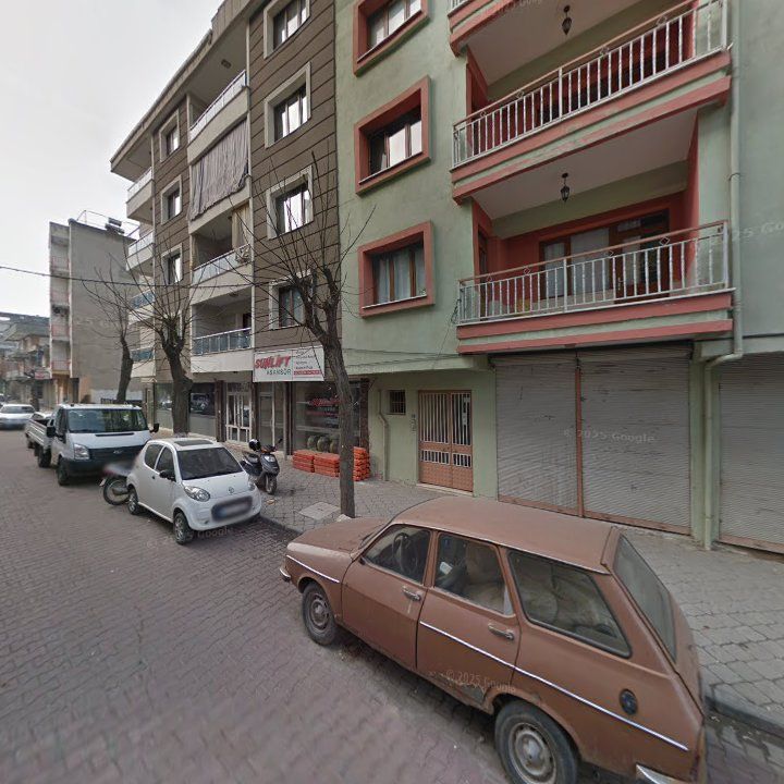 Fotoğraf 7