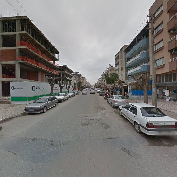 Fotoğraf 10